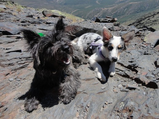 Ney y Ray en el pico del Ocejón